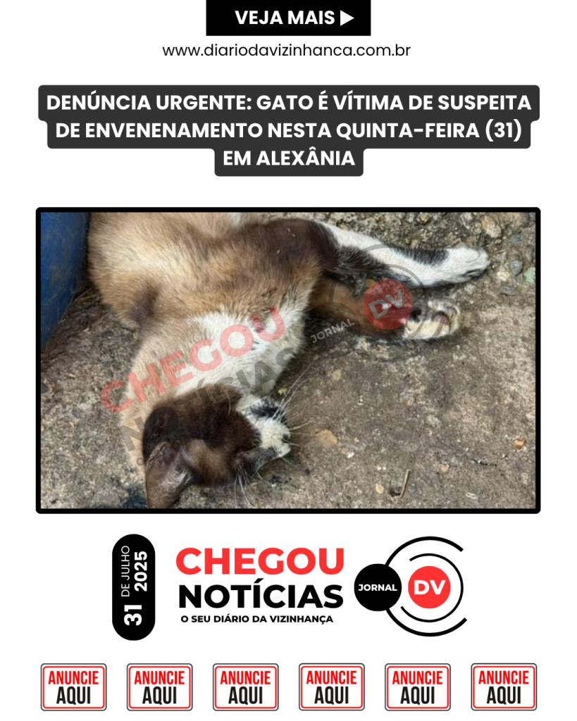 DENÚNCIA URGENTE: GATO É VÍTIMA DE SUSPEITA DE ENVENENAMENTO NESTA QUINTA-FEIRA (31) EM ALEXÂNIA