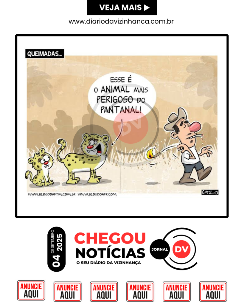 QUEIMADAS NO PANTANAL