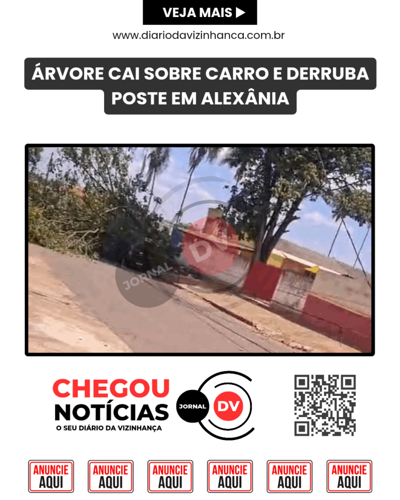 ÁRVORE CAI SOBRE CARRO E DERRUBA POSTE EM ALEXÂNIA