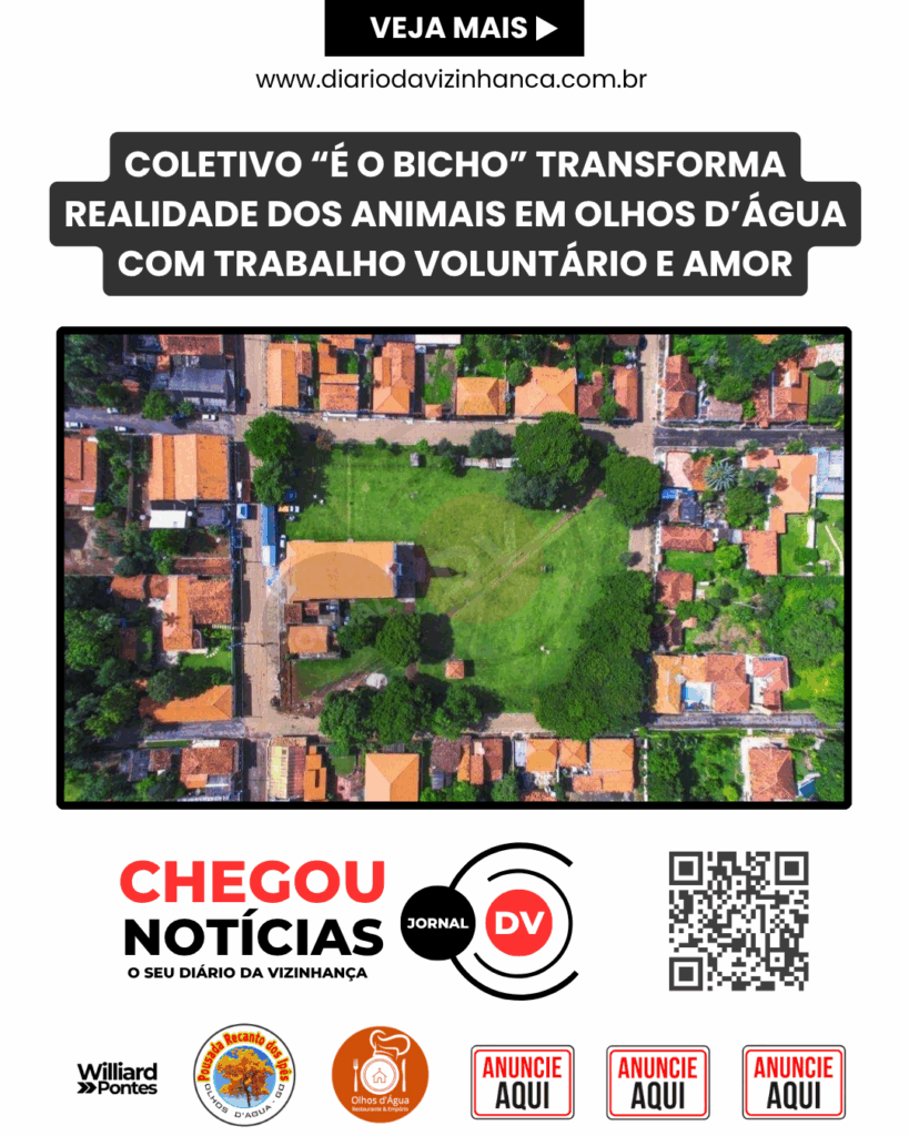 COLETIVO “É O BICHO” TRANSFORMA REALIDADE DOS ANIMAIS EM OLHOS D’ÁGUA COM TRABALHO VOLUNTÁRIO E AMOR