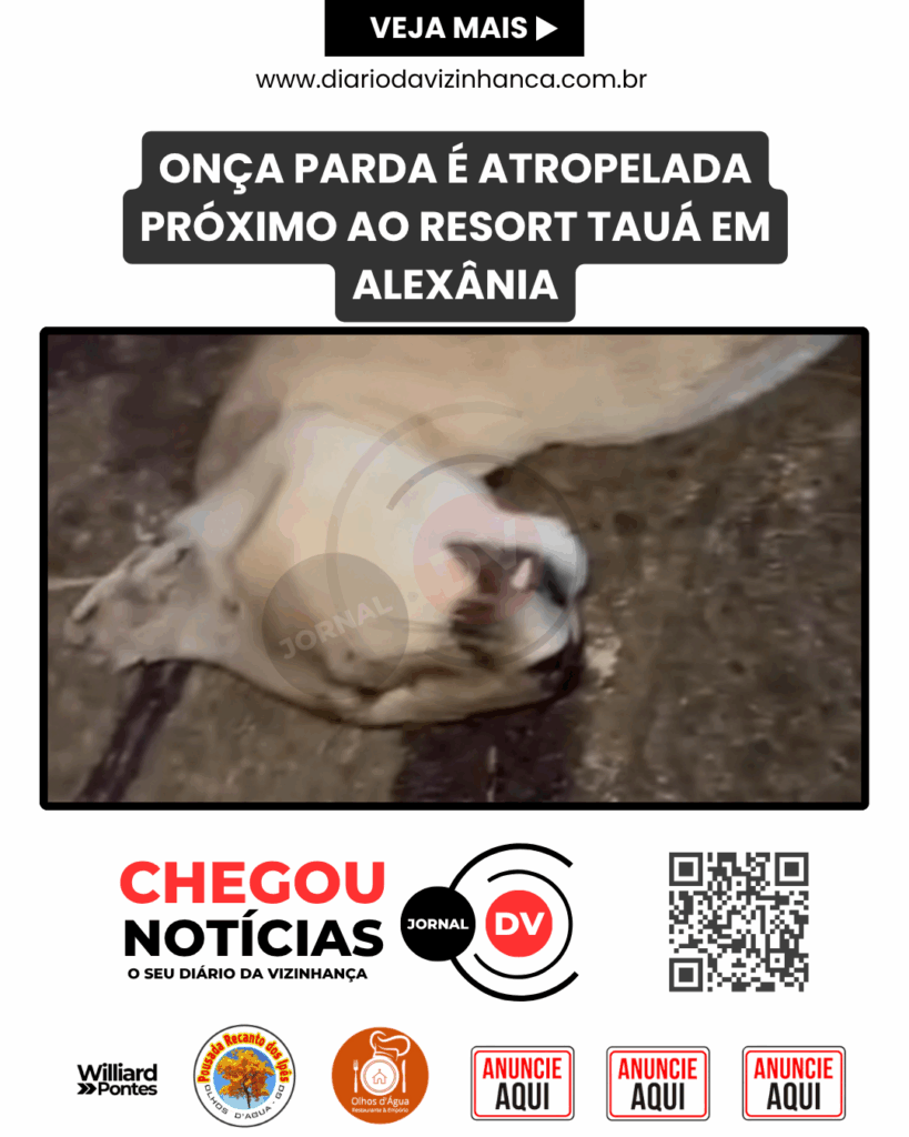ONÇA PARDA É ATROPELADA PRÓXIMO AO RESORT TAUÁ EM ALEXÂNIA
