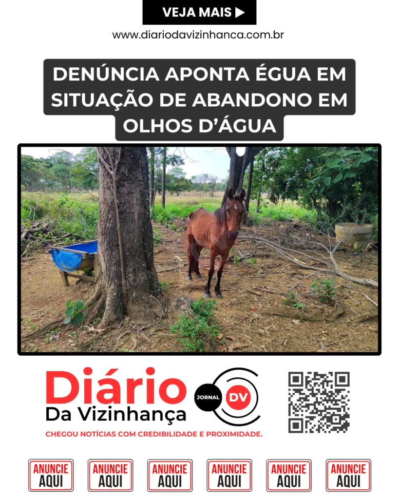 DENÚNCIA APONTA ÉGUA EM SITUAÇÃO DE ABANDONO EM OLHOS D’ÁGUA