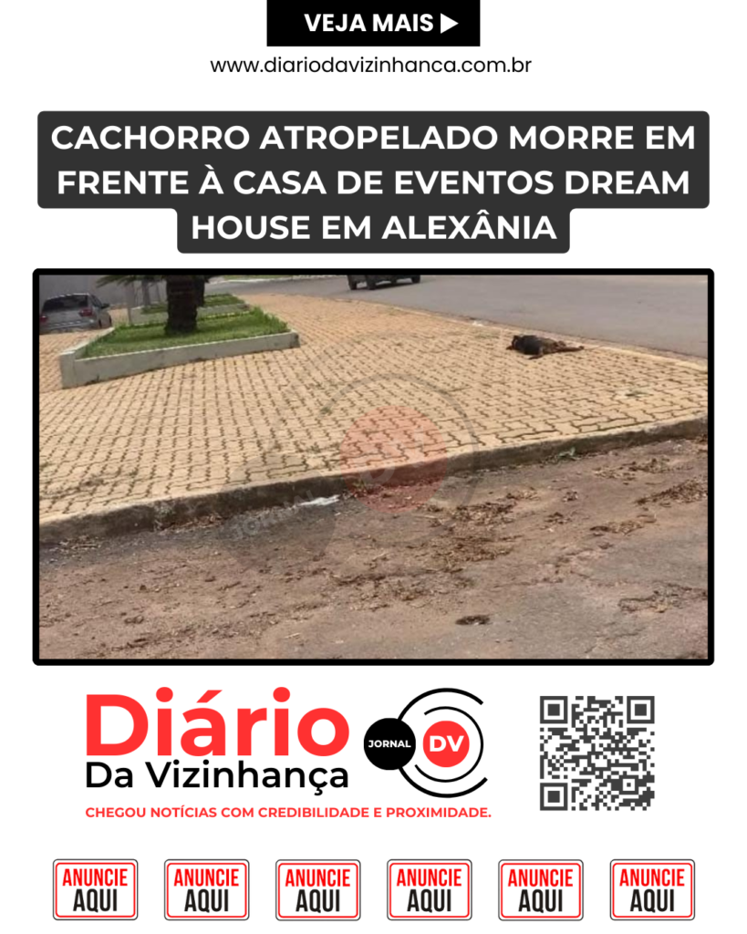 CACHORRO ATROPELADO MORRE EM FRENTE À CASA DE EVENTOS DREAM HOUSE EM ALEXÂNIA
