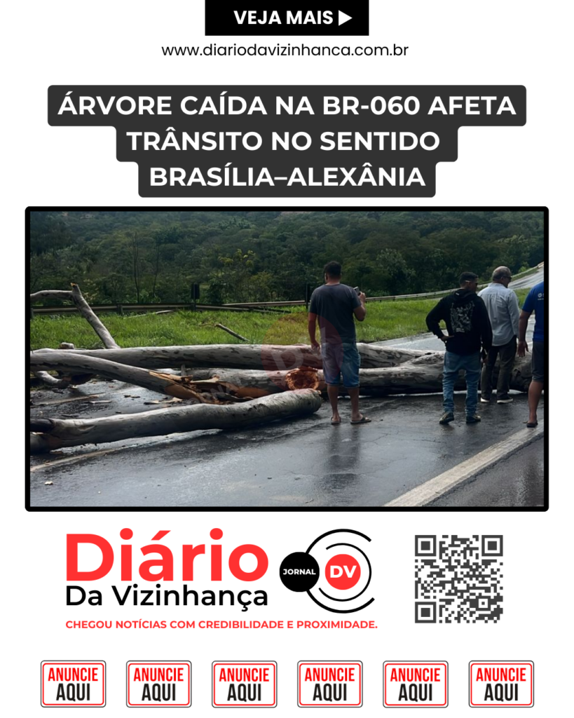 ÁRVORE CAÍDA NA BR-060 AFETA TRÂNSITO NO SENTIDO BRASÍLIA–ALEXÂNIA