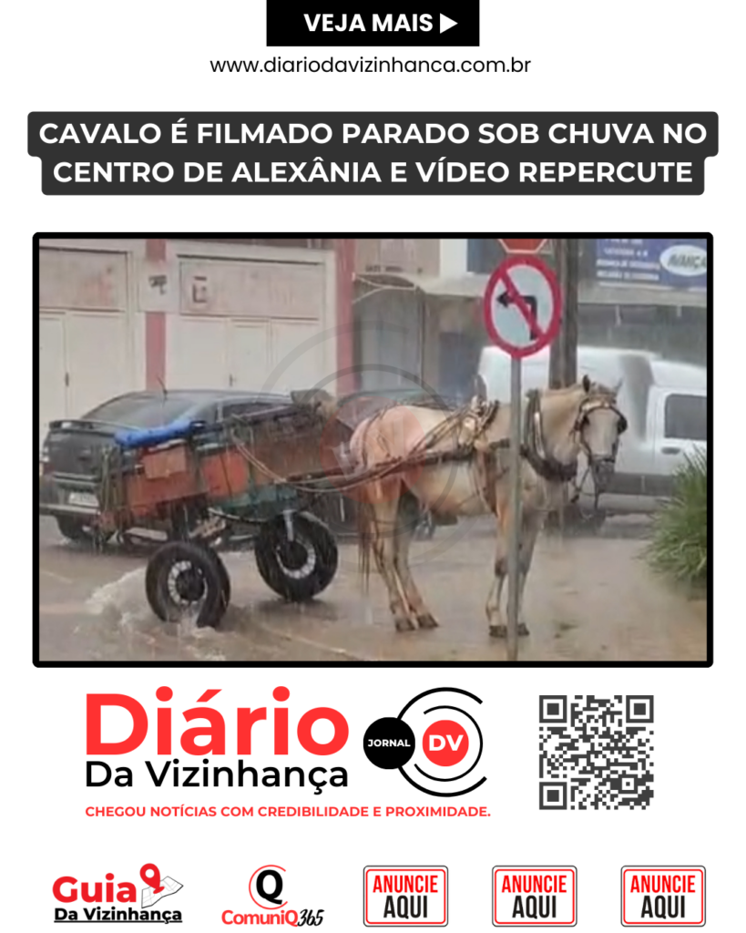 CAVALO É FILMADO PARADO SOB CHUVA NO CENTRO DE ALEXÂNIA E VÍDEO REPERCUTE