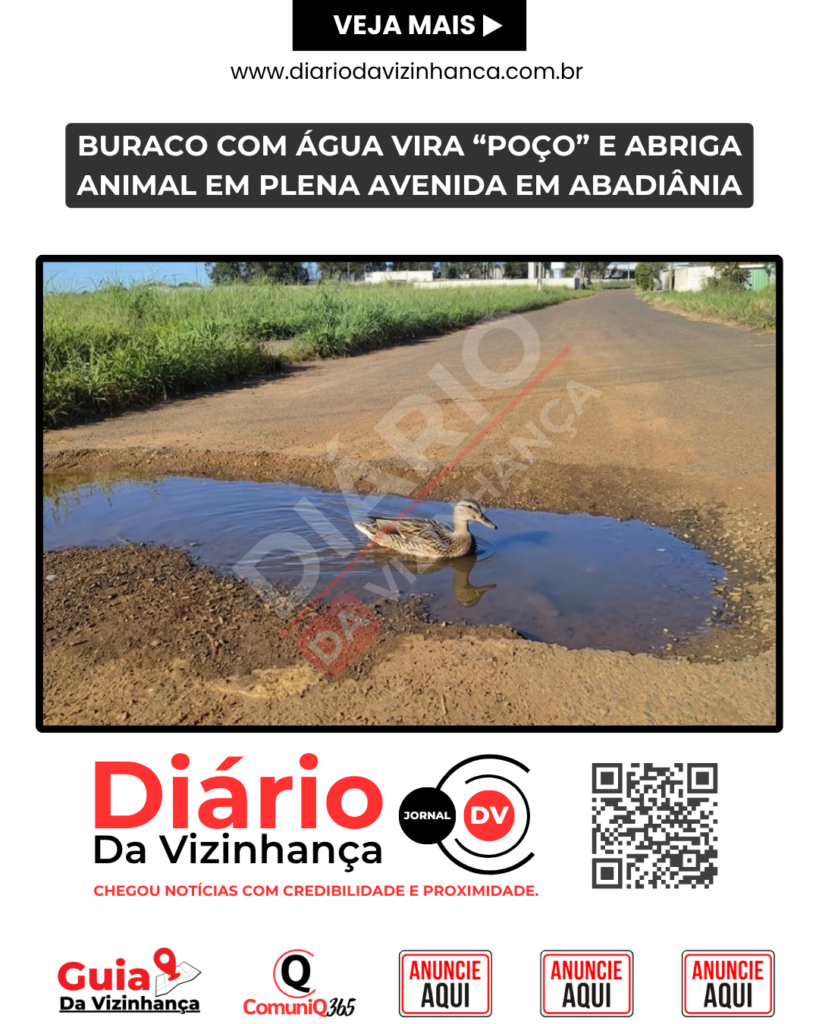 BURACO COM ÁGUA VIRA “POÇO” E ABRIGA ANIMAL EM AVENIDA DE ABADIÂNIA