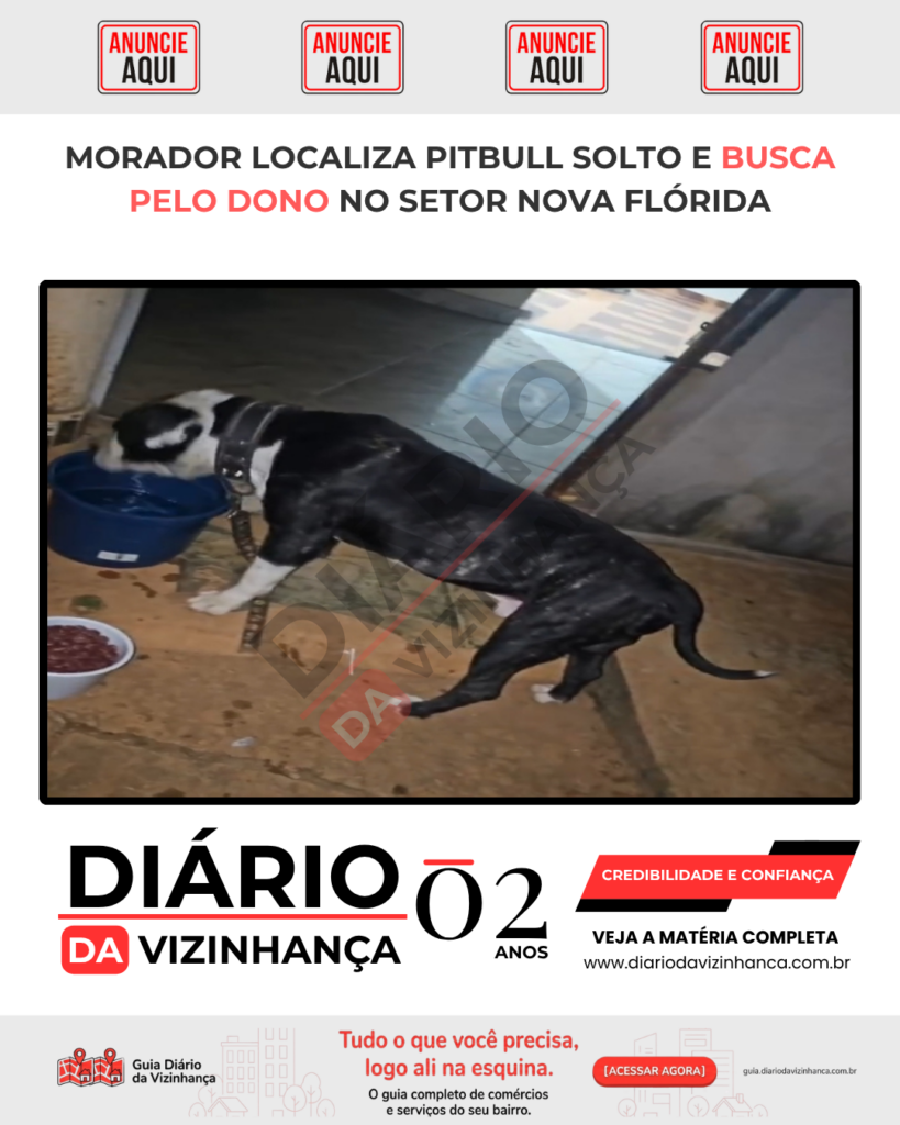 MORADOR LOCALIZA PITBULL SOLTO E BUSCA PELO DONO NO SETOR NOVA FLÓRIDA