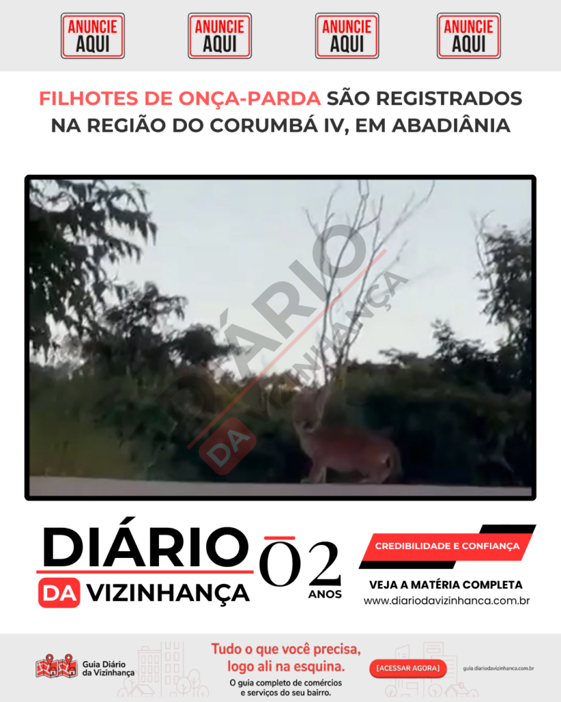 FILHOTES DE ONÇA-PARDA SÃO REGISTRADOS NA REGIÃO DO CORUMBÁ IV, EM ABADIÂNIA